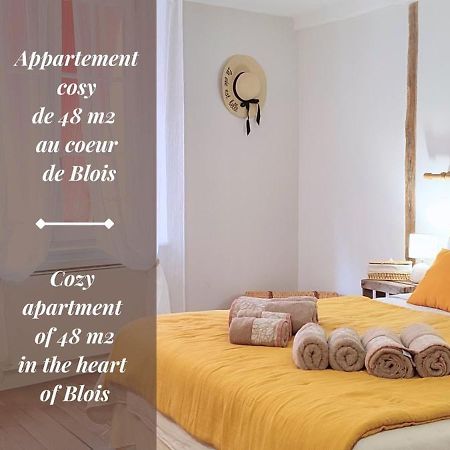 Blois City - Le Petit Louis XII 外观 照片