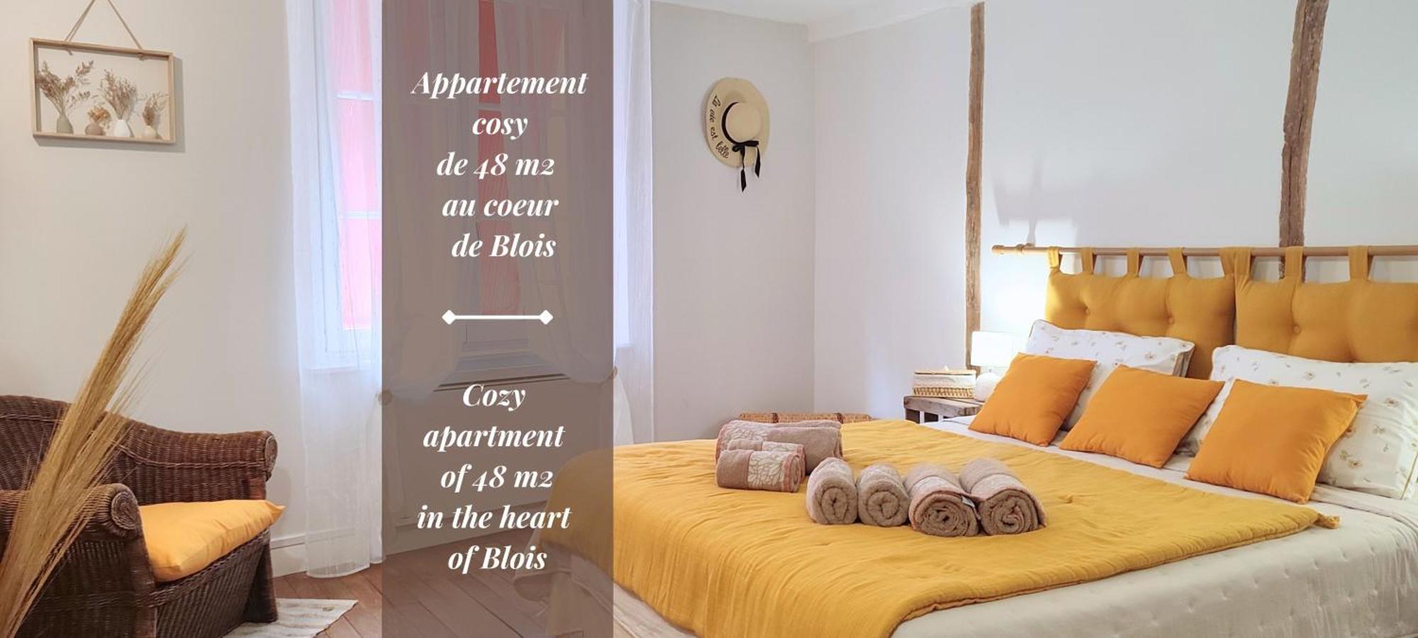 Blois City - Le Petit Louis XII 外观 照片